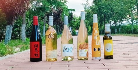 10 继续了解
