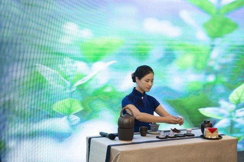 牵头制定《民宿管理与运营专业简介》和
